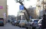 Какой штраф за парковку на тротуаре