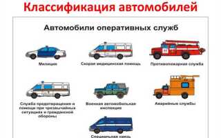 Какие бывают типы транспортного средства