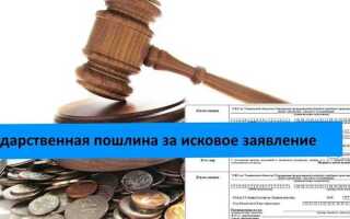 Кто оплачивает госпошлину при подаче искового заявления в суд