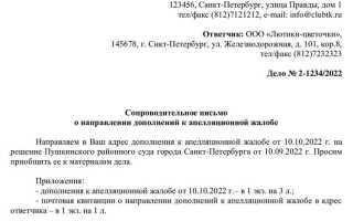 Копия бумажного письма суд госуслуги что это