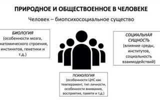 То что дается индивиду обществом принято называть