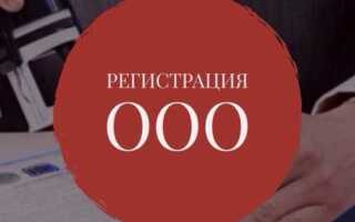 На какой срок создается ооо