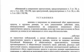 242 ук рф что за статья