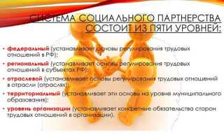 Какие органы социального партнерства в сфере труда предусмотрены тк рф