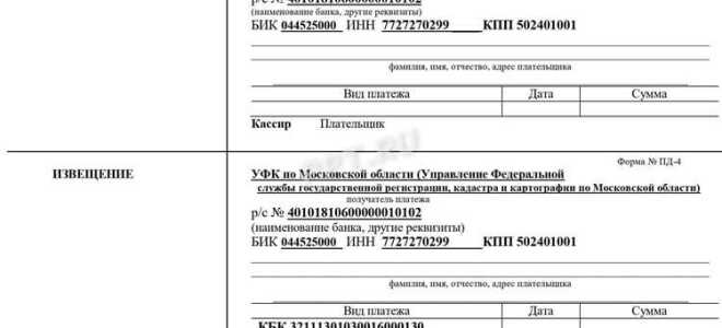 Кто может оплатить госпошлину за юридическое лицо