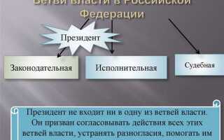 Разработка и принятие законов кто