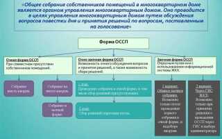 Очередное и внеочередное собрание собственников в чем разница