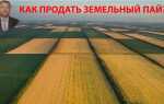 Что такое пай земли сельхозназначения