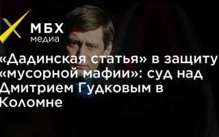 Дадинская статья что это такое