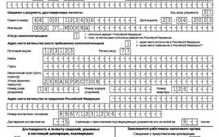 Сумма профессионального налогового вычета у ип в 3 ндфл что это