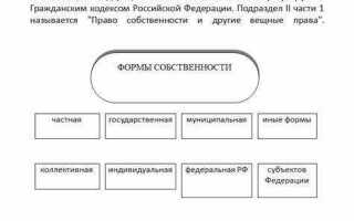 Форма собственности организации какие бывают