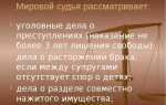 Какие дела рассматривает мировой судья