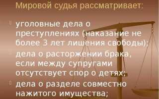 Какие дела рассматривает мировой судья