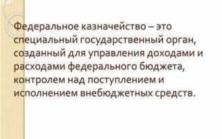 Федеральное казенное учреждение что это