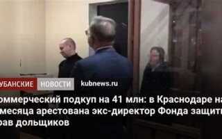 Обещание посредничества в коммерческом подкупе следует квалифицировать как