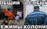 Колония поселение что это такое
