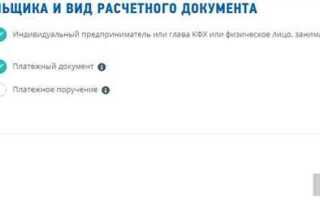 Как вернуть госпошлину за закрытие ип онлайн