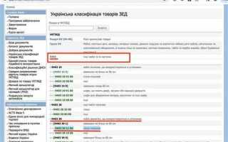 Код таможенного органа зарегистрировавшего документ где посмотреть в декларации