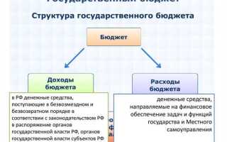 Чем отличается госслужащий от бюджетника
