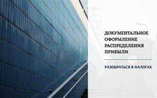 В какой период общество вправе принимать решение о распределении своей чистой прибыли