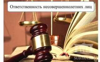 Какую ответственность несут лица совместно причинившие вред