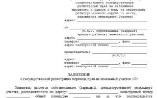 Как приватизировать участок в снт