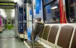Как кота провозить в метро