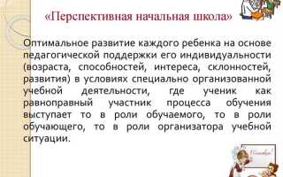 Кто разрабатывает основные общеобразовательные программы
