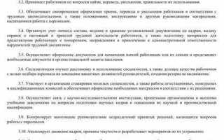Кто может исполнять обязанности директора чоп
