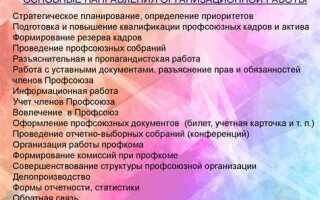 Какие группы могут образовываться в структуре первичной профсоюзной организации