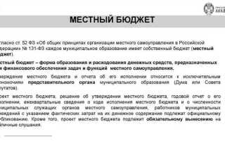 Что составляет экономическую основу местного самоуправления