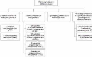 Как называется коммерческая организация основанная на имущественных паевых взносах участников