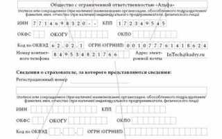 Кто организации в отчете ефс 1