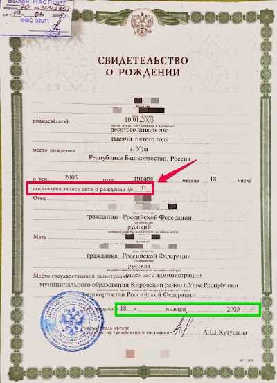 Вариации расположения даты в разных типах свидетельств о рождении