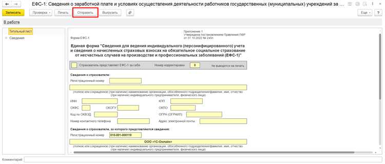 Частые ошибки при подаче отчета ЕФСН 1 и способы их устранения