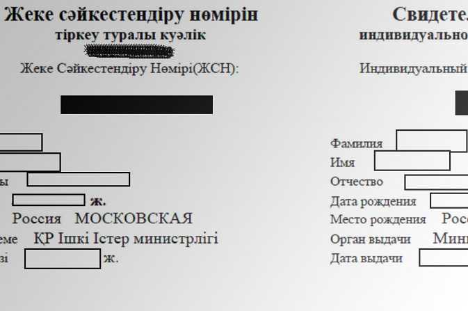 Что делать при утере ИНН или ошибке в данных