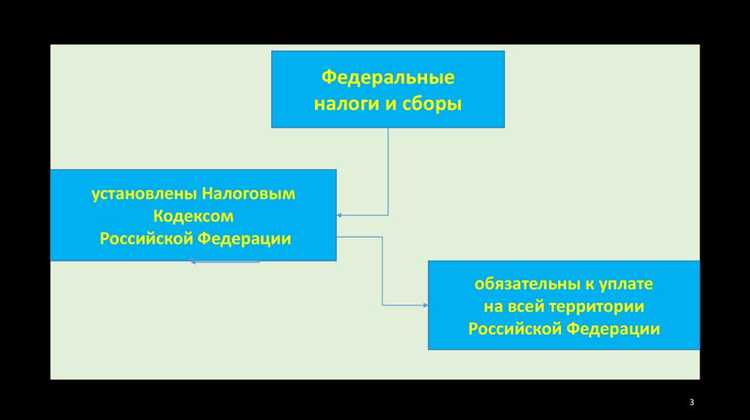 Какие налоги могут быть установлены на уровне муниципалитета?