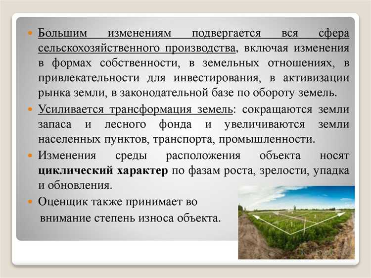 Принципы учёта экологических факторов и устойчивого развития