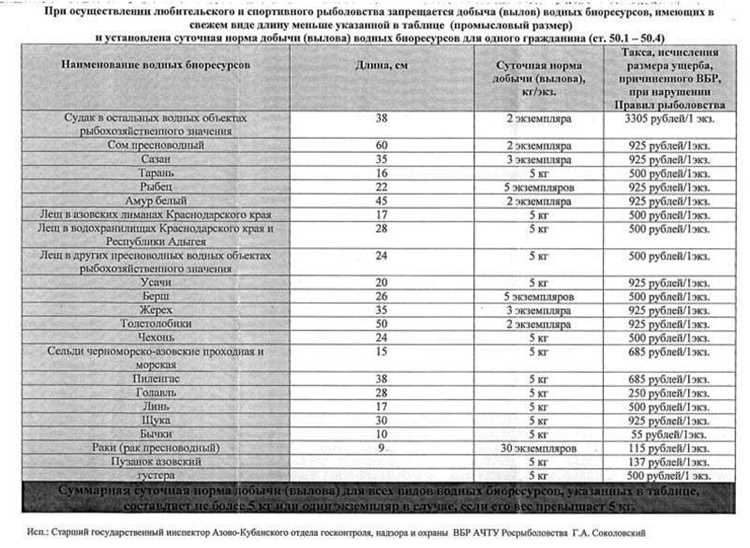 Повторные нарушения и возможность уголовного преследования: когда меняются меры ответственности