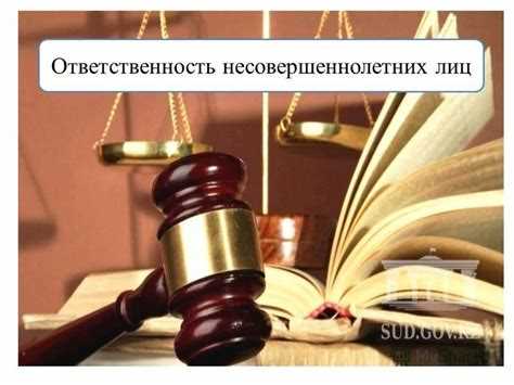 Какую ответственность несут лица совместно причинившие вред