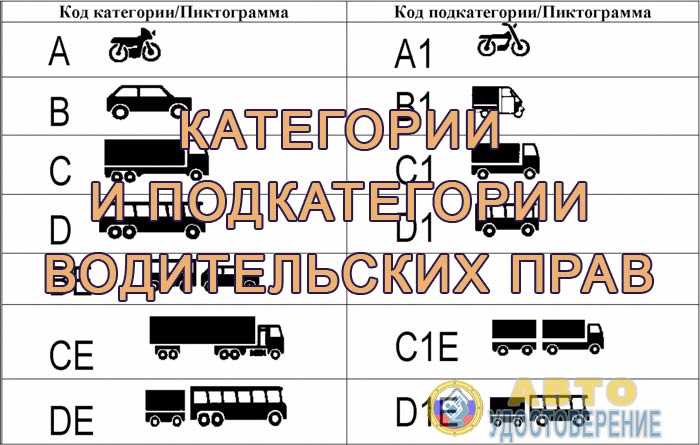 Преимущества наличия категории L в водительском удостоверении
