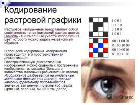Зачем свидетельства нужно переводить двоичным кодом