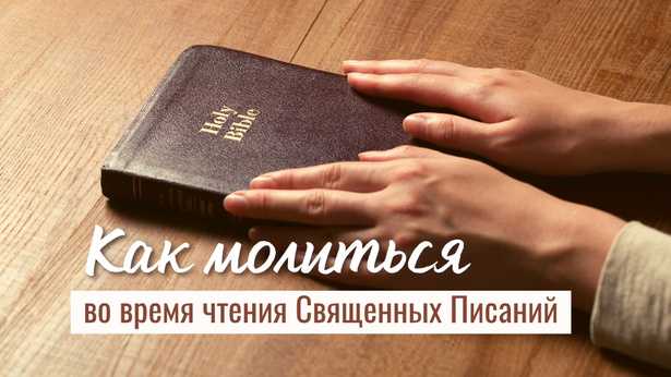 Роль внимательности в понимании юридических норм