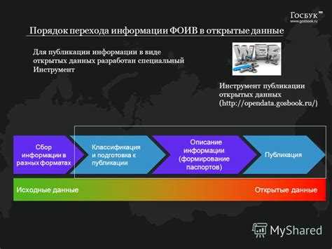 Как использовать полученные данные в аналитике и отчетах