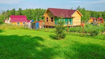 Оборот земель: как правильно сменять культуры для поддержания плодородия