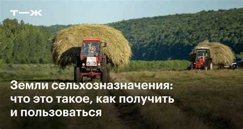 Как правильно обрабатывать землю для успешного посева