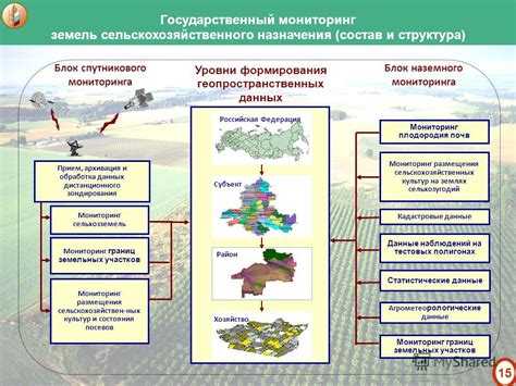 Какие культуры можно выращивать в зависимости от типа почвы