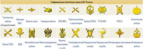 Различия во внешнем виде и способах ношения