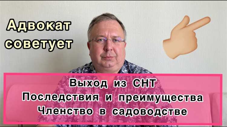 Что такое СНТ и какие у него особенности?