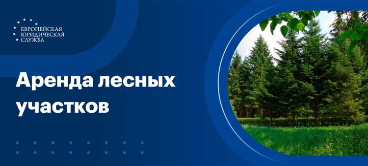 Использование лесных участков: ограничения и правила
